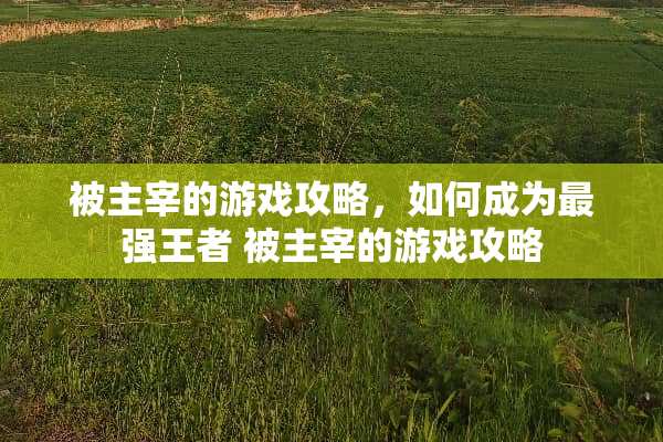 被主宰的游戏攻略，如何成为最强王者 被主宰的游戏攻略