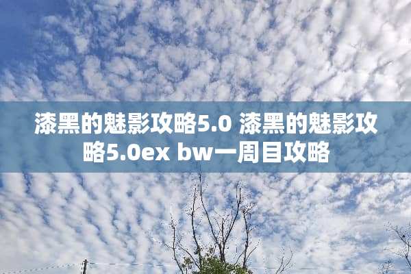 漆黑的魅影攻略5.0 漆黑的魅影攻略5.0ex bw一周目攻略