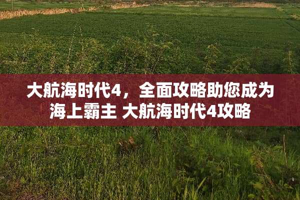 大航海时代4，全面攻略助您成为海上霸主 大航海时代4攻略