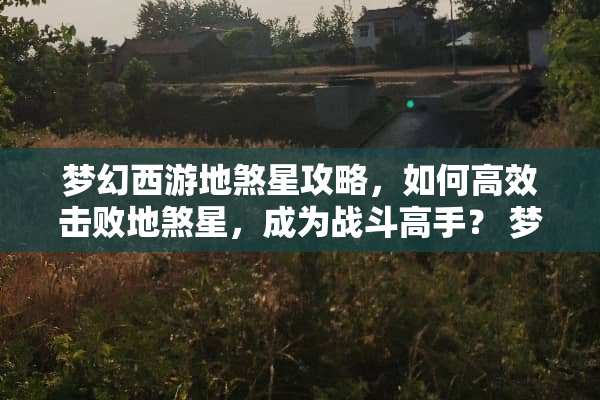 梦幻西游地煞星攻略，如何高效击败地煞星，成为战斗高手？ 梦幻西游地煞星攻略