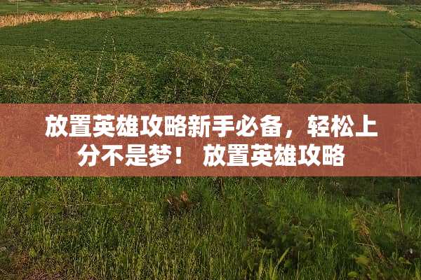 放置英雄攻略新手必备，轻松上分不是梦！ 放置英雄攻略