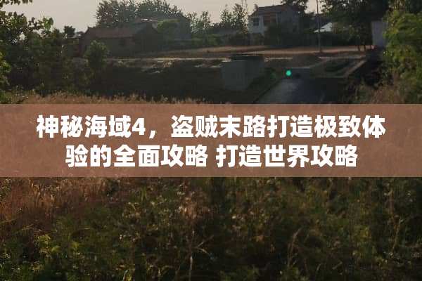 神秘海域4，盗贼末路打造极致体验的全面攻略 打造世界攻略