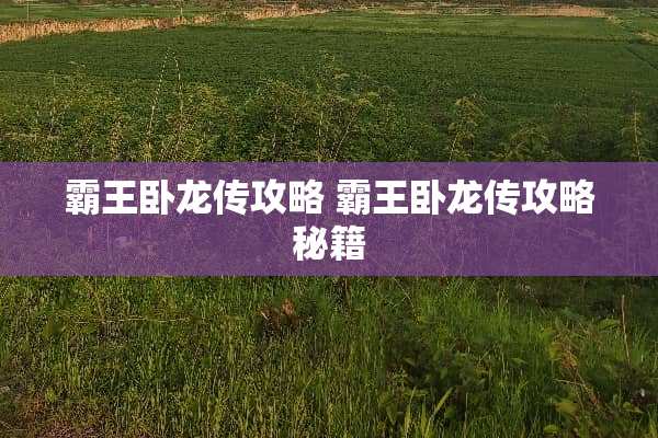 **卧龙传攻略 **卧龙传攻略秘籍