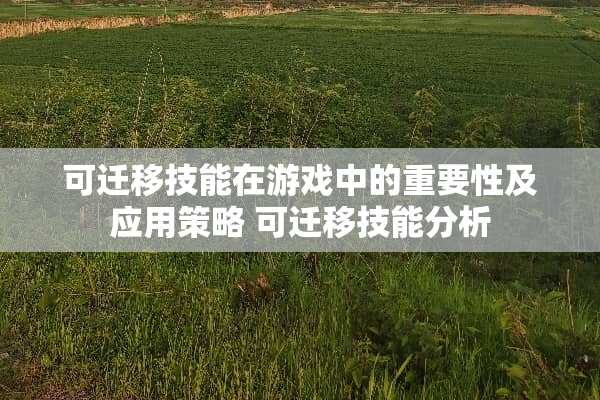 可迁移技能在游戏中的重要性及应用策略 可迁移技能分析