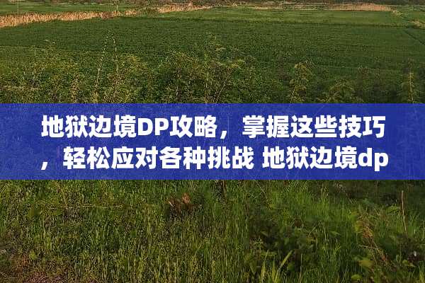 地狱边境DP攻略，掌握这些技巧，轻松应对各种挑战 地狱边境dp攻略