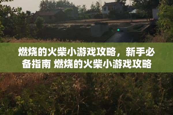 燃烧的火柴小游戏攻略，新手必备指南 燃烧的火柴小游戏攻略