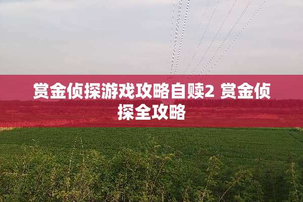 赏金侦探游戏攻略自赎2 赏金侦探全攻略