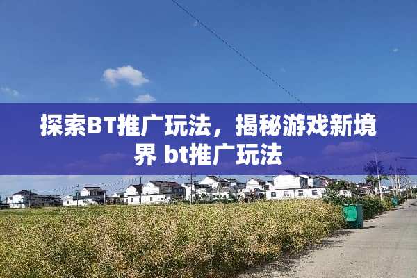 探索BT推广玩法，揭秘游戏新境界 bt推广玩法