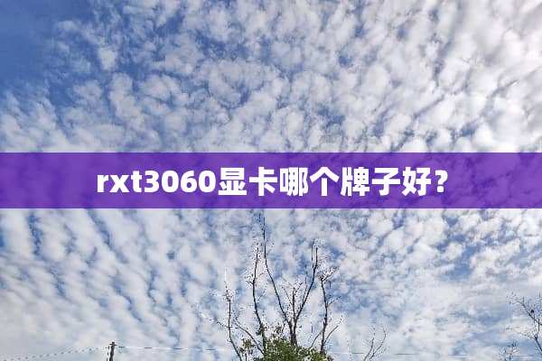 rxt3060显卡哪个牌子好？