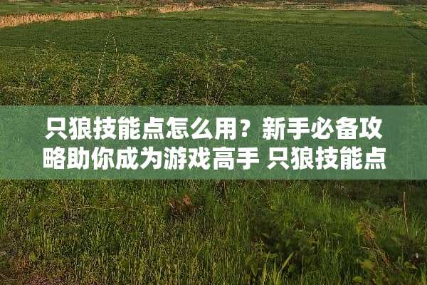 只狼技能点怎么用？新手必备攻略助你成为游戏高手 只狼技能点怎么用