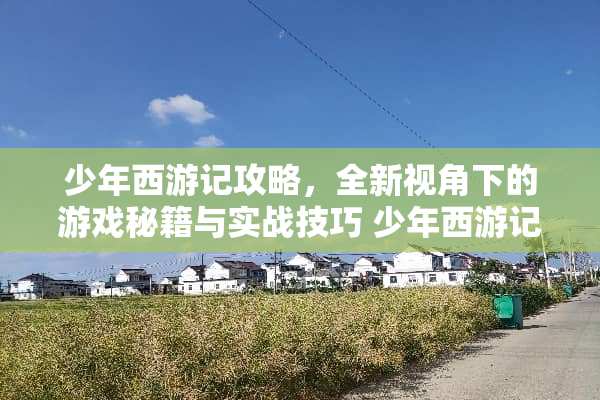 少年西游记攻略，全新视角下的游戏秘籍与实战技巧 少年西游记攻略