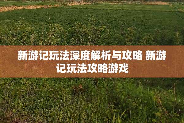 新游记玩法深度解析与攻略 新游记玩法攻略游戏