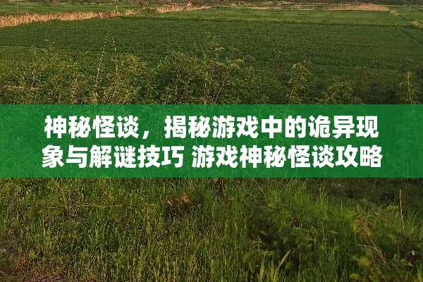 神秘怪谈，揭秘游戏中的诡异现象与解谜技巧 游戏神秘怪谈攻略