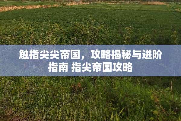 触指尖尖帝国，攻略揭秘与进阶指南 指尖帝国攻略