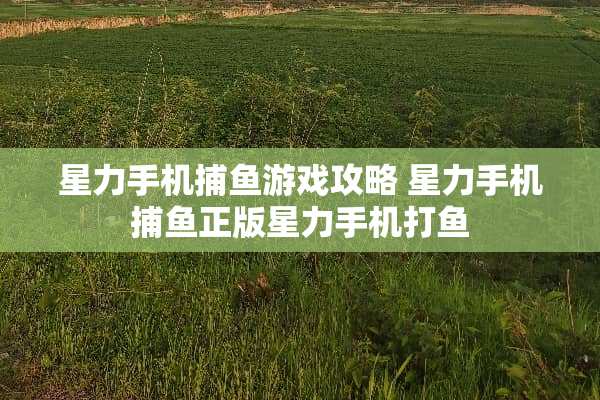 星力手机捕鱼游戏攻略 星力手机捕鱼正版星力手机打鱼