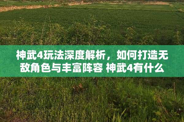神武4玩法深度解析，如何打造无敌角色与丰富阵容 神武4有什么玩法