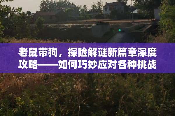 老鼠带狗，探险解谜新篇章深度攻略——如何巧妙应对各种挑战？ 老鼠带狗攻略游戏