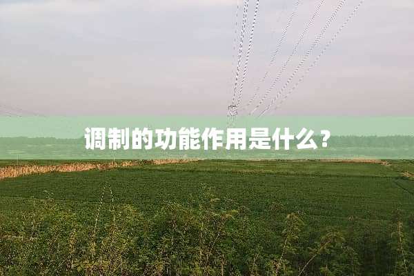调制的功能作用是什么？