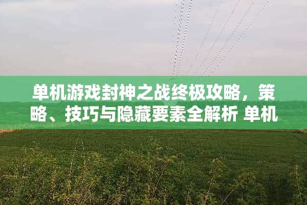 单机游戏封神之战终极攻略，策略、技巧与隐藏要素全解析 单机游戏封神之战攻略