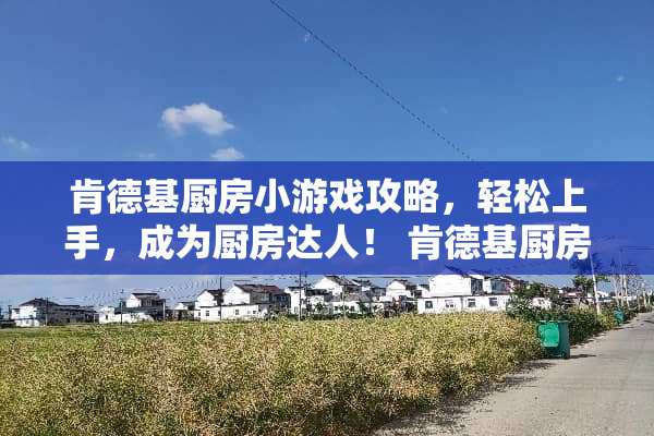 肯德基厨房小游戏攻略，轻松上手，成为厨房达人！ 肯德基厨房小游戏攻略