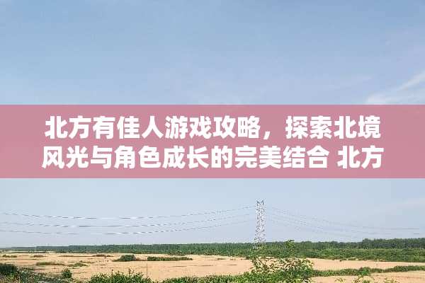 北方有佳人游戏攻略，探索北境风光与角色成长的完美结合 北方有佳人游戏攻略