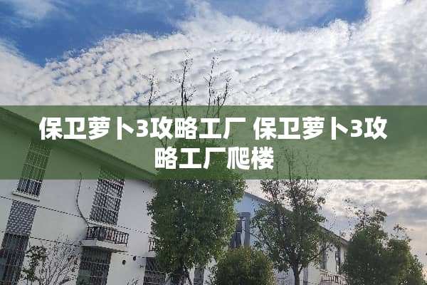保卫萝卜3攻略工厂 保卫萝卜3攻略工厂爬楼