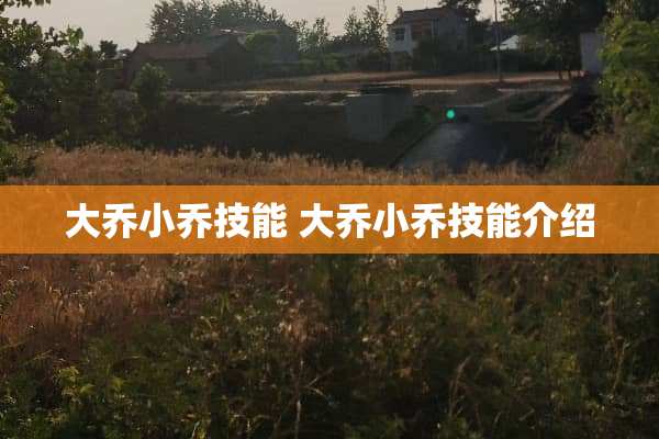 大乔小乔技能 大乔小乔技能介绍