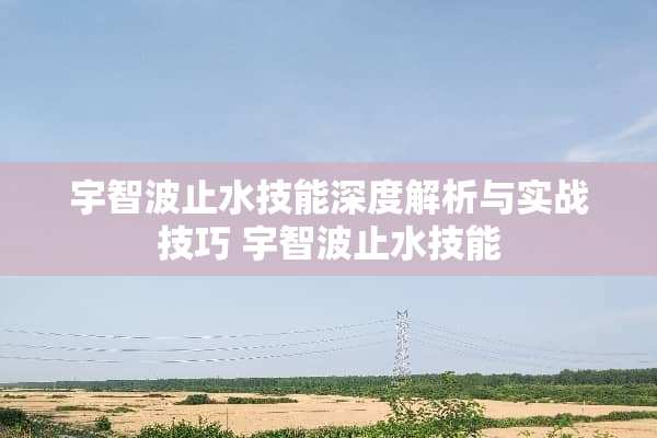 宇智波止水技能深度解析与实战技巧 宇智波止水技能