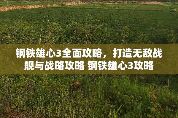钢铁雄心3全面攻略，打造无敌战舰与战略攻略 钢铁雄心3攻略
