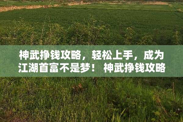 神武挣钱攻略，轻松上手，成为江湖首富不是梦！ 神武挣钱攻略