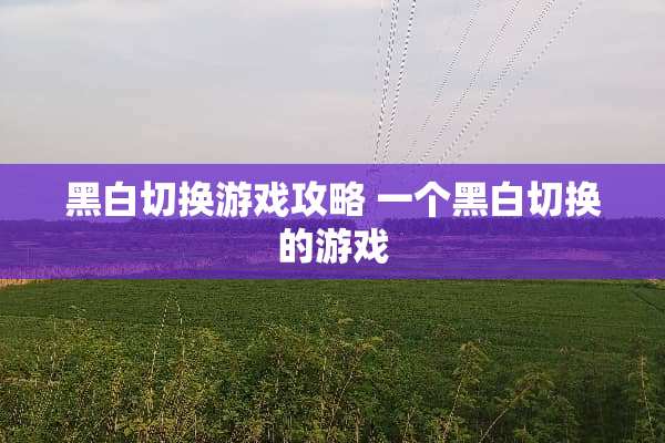 黑白切换游戏攻略 一个黑白切换的游戏