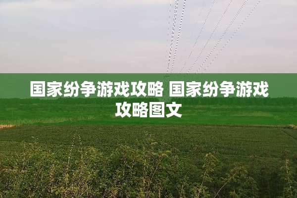 国家纷争游戏攻略 国家纷争游戏攻略图文