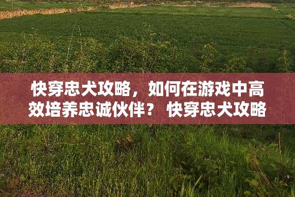 快穿忠犬攻略，如何在游戏中高效培养忠诚伙伴？ 快穿忠犬攻略
