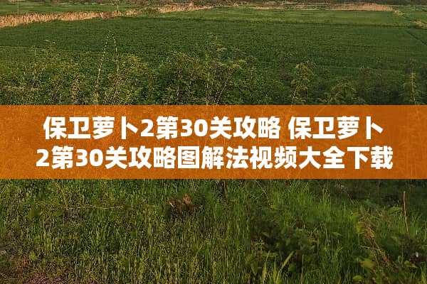 保卫萝卜2第30关攻略 保卫萝卜2第30关攻略图解法视频大全下载