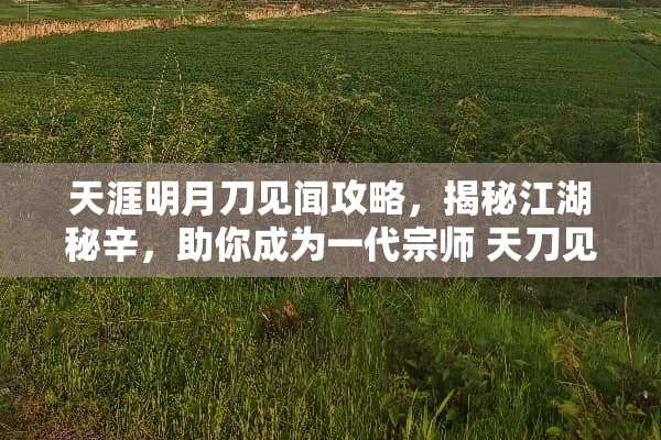 天涯明月刀见闻攻略，揭秘江湖秘辛，助你成为一代宗师 天刀见闻攻略