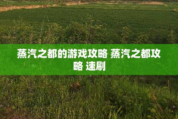 蒸汽之都的游戏攻略 蒸汽之都攻略 速刷