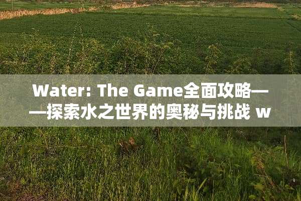 Water: The Game全面攻略——探索水之世界的奥秘与挑战 water游戏攻略