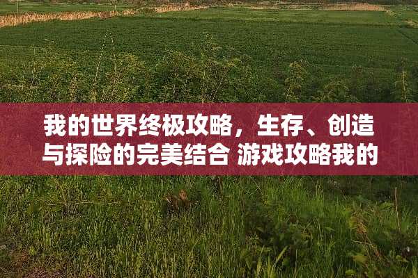 我的世界终极攻略，生存、创造与探险的完美结合 游戏攻略我的世界