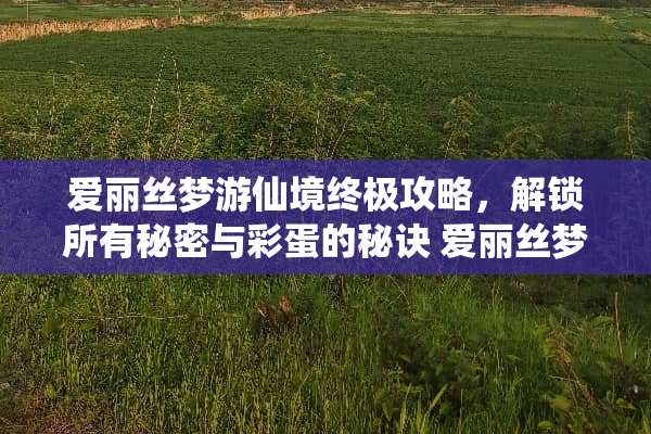 爱丽丝梦游仙境终极攻略，解锁所有秘密与彩蛋的秘诀 爱丽丝梦游仙境攻略