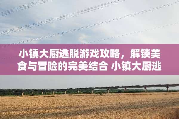 小镇大厨逃脱游戏攻略，解锁美食与冒险的完美结合 小镇大厨逃脱小游戏攻略