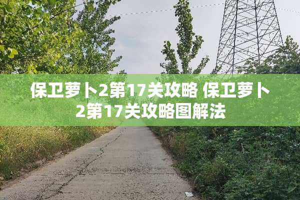 保卫萝卜2第17关攻略 保卫萝卜2第17关攻略图解法