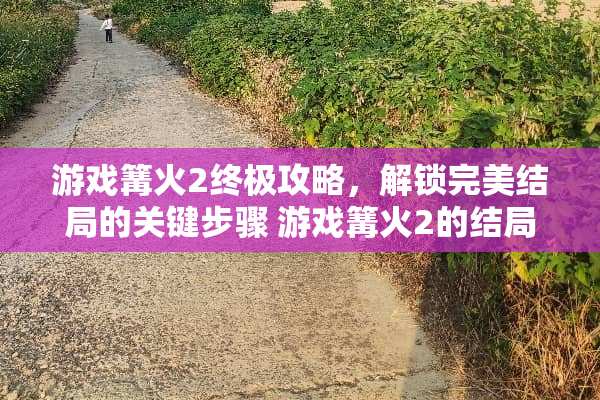 游戏篝火2终极攻略，解锁完美结局的关键步骤 游戏篝火2的结局攻略