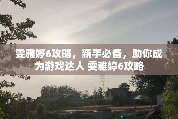 雯雅婷6攻略，新手必备，助你成为游戏达人 雯雅婷6攻略
