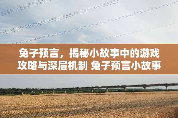 兔子预言，揭秘小故事中的游戏攻略与深层机制 兔子预言小故事游戏攻略