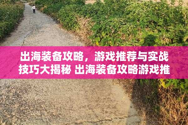 出海装备攻略，游戏推荐与实战技巧大揭秘 出海装备攻略游戏推荐