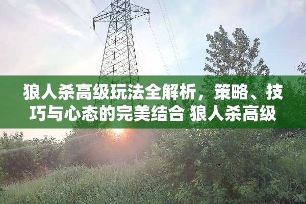 狼人杀高级玩法全解析，策略、技巧与心态的完美结合 狼人杀高级玩法