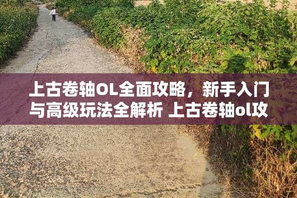 上古卷轴OL全面攻略，新手入门与高级玩法全解析 上古卷轴ol攻略