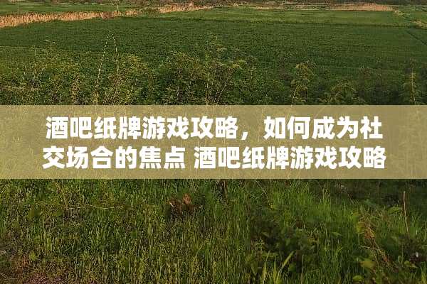酒吧纸牌游戏攻略，如何成为社交场合的焦点 酒吧纸牌游戏攻略