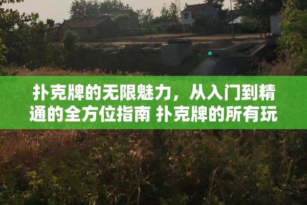 **牌的无限魅力，从入门到精通的全方位指南 **牌的所有玩法