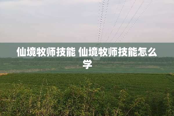 仙境牧师技能 仙境牧师技能怎么学